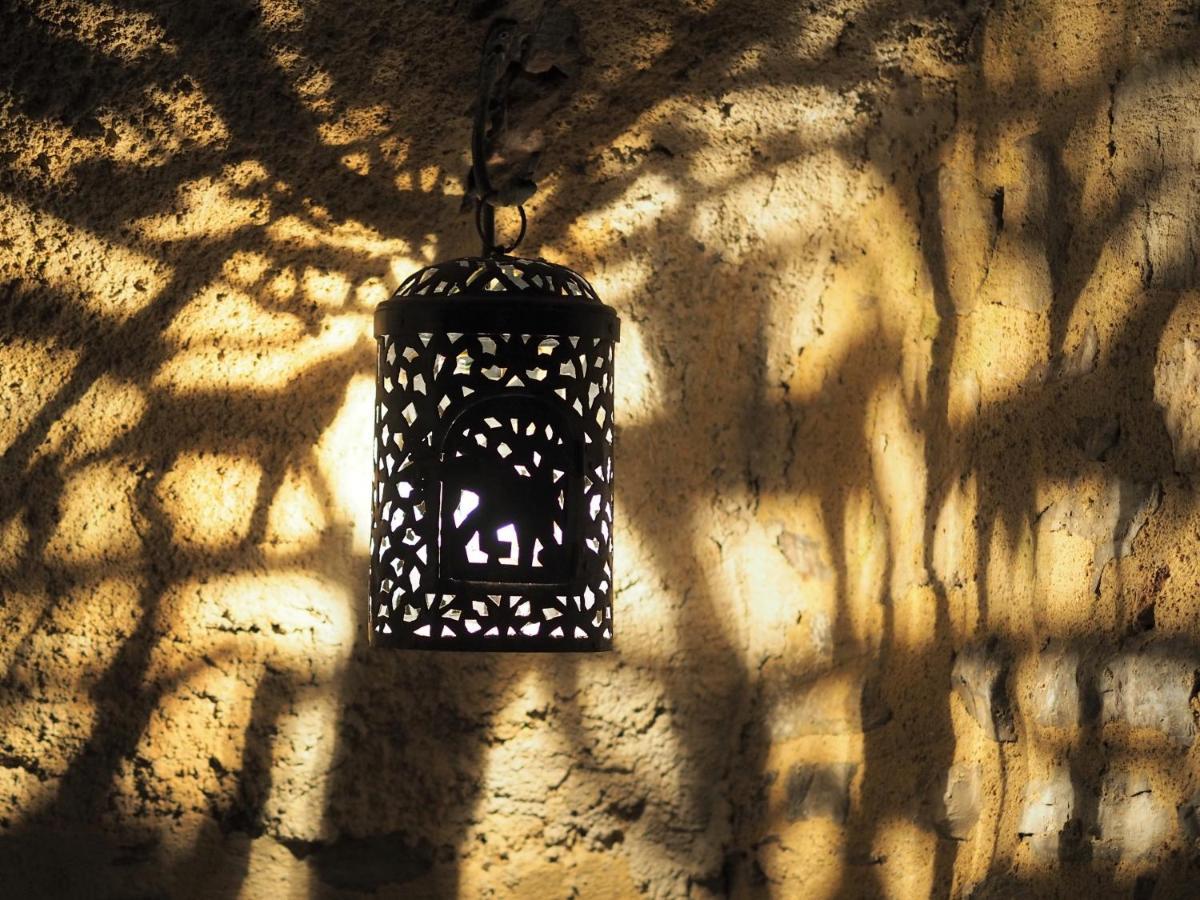 Chambres D'Hotes Le Secret Du Chat Cordes-sur-Ciel Eksteriør bilde